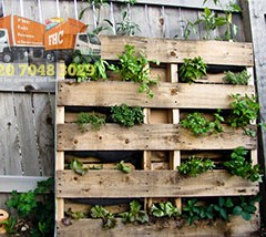 Having an Urban Garden? It is Not a Mission Impossible