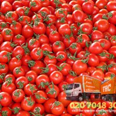 Biofuel From Waste Tomatoes