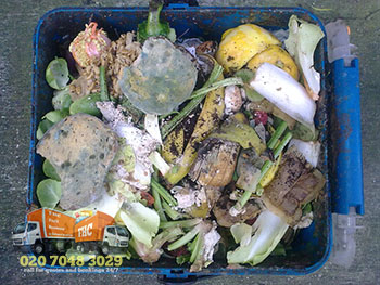 Food waste