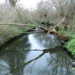 Wandle Meadow Nature Park