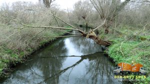 Wandle Meadow Nature Park