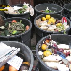 Tips to Reduce Food Waste